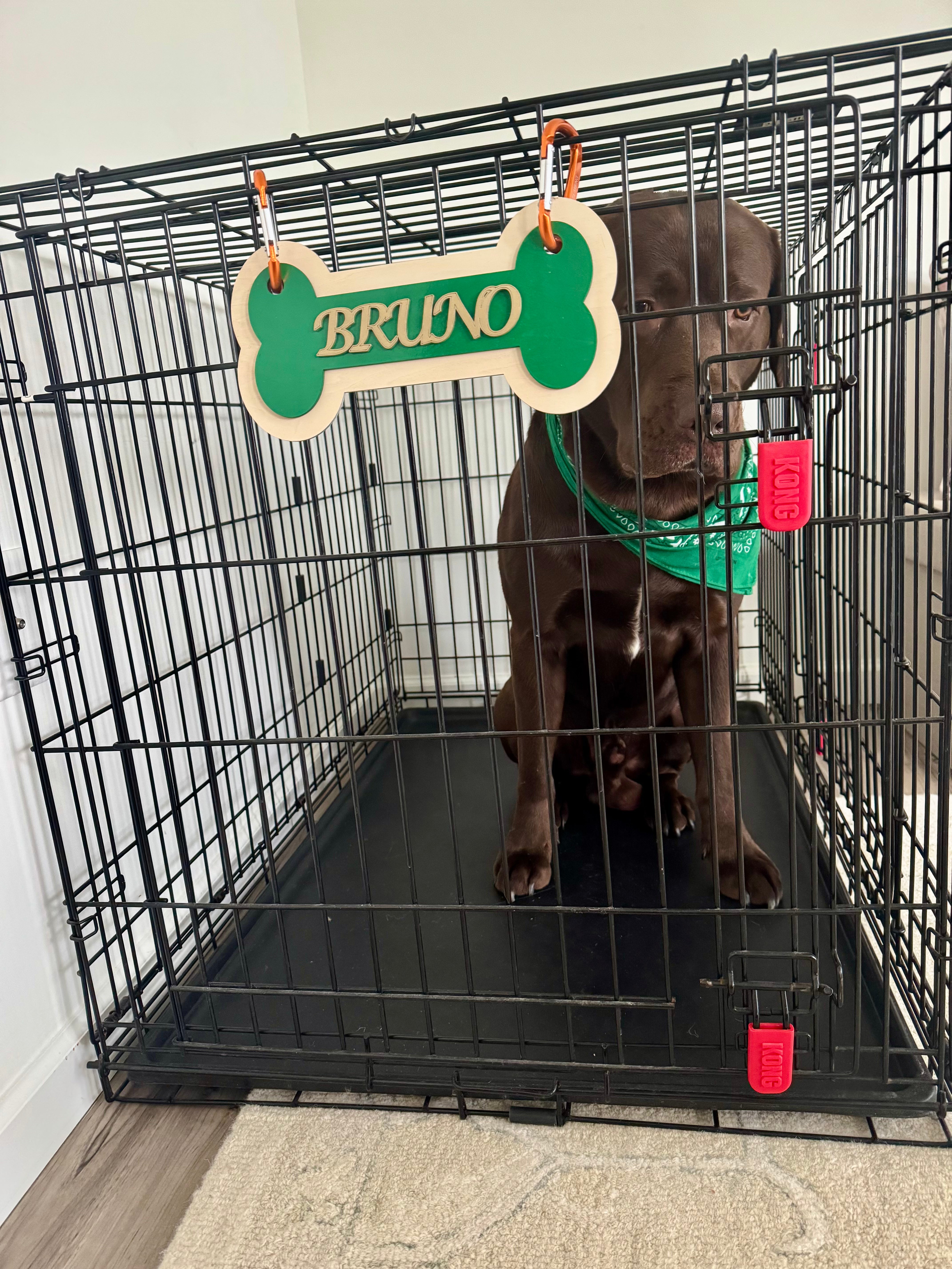 Custom Dog Crate Tag
